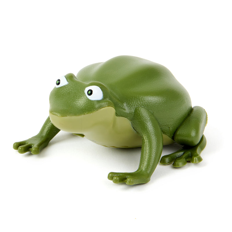Recordable Terrific Talking Frogs 10pk, Talking Buttons Learning SPACE
