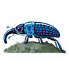 Remarkable Animals Book, Learning SPACE
