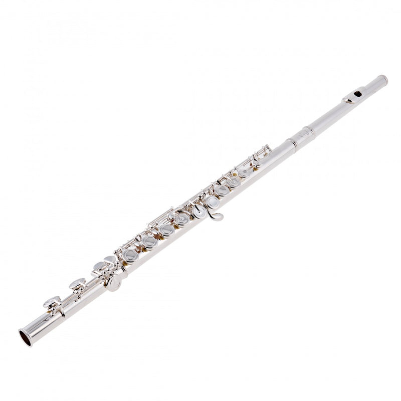 Rosedale Professional Flute, Solid Silver Headjoint, Musical Instruments Learning SPACE