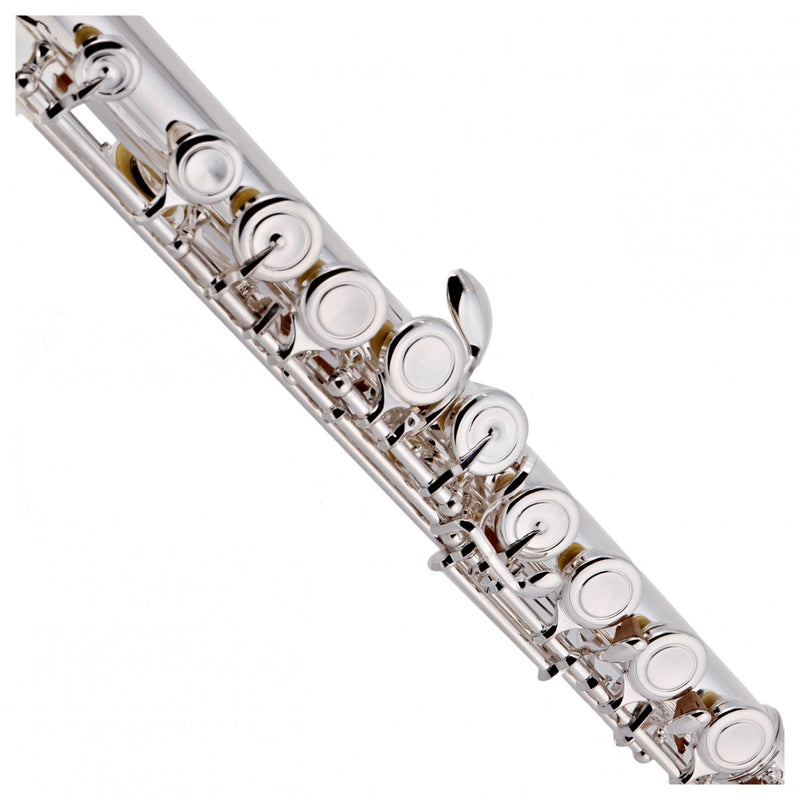Rosedale Professional Flute, Solid Silver Headjoint, Musical Instruments Learning SPACE