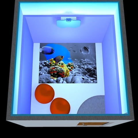 SENse Air- Interactive Floor Projection System-Autism, Neuro Diversity, Sensory Flooring, Sensory Projectors, Stock-Learning SPACE