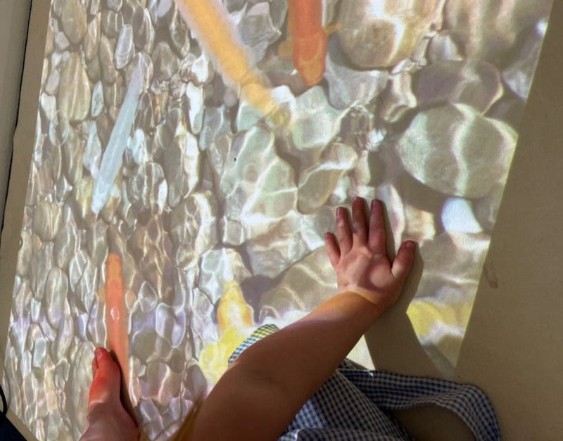 SENse Flex Plus | Multi Level Projector System - Floor, Wall and Table, Learning SPACE