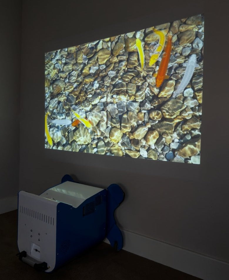 SENse Flex Plus | Multi Level Projector System - Floor, Wall and Table, Learning SPACE