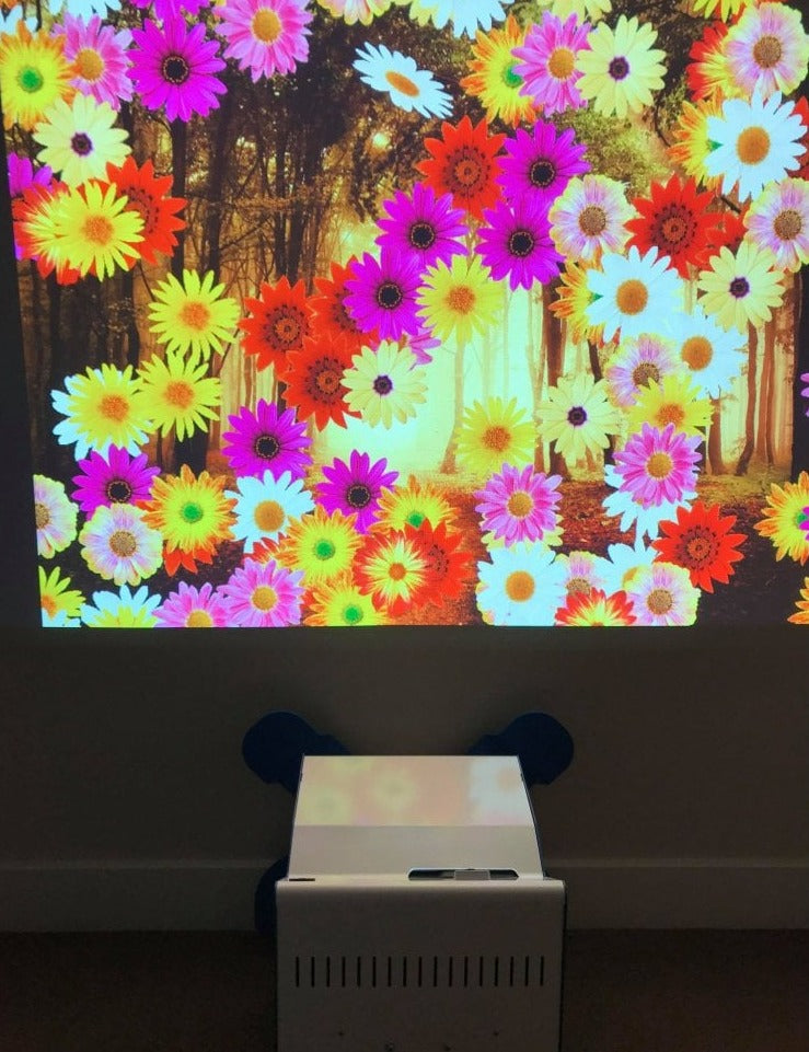 SENse Flex Plus | Multi Level Projector System - Floor, Wall and Table, Learning SPACE