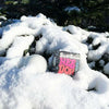 NeeDoh Snow Ball Crunch Stress Toy