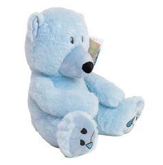 Sad Bear - Mood Bear-Additional Need,Calming & Anxiety,Calming and Relaxation,Comfort Toys,Eco Friendly,Emotions & Self Esteem,excell2,Games & Toys,Helps With,Mood Bear,PSHE,Social Emotional Learning,Social Stories & Games & Social Skills-Learning SPACE