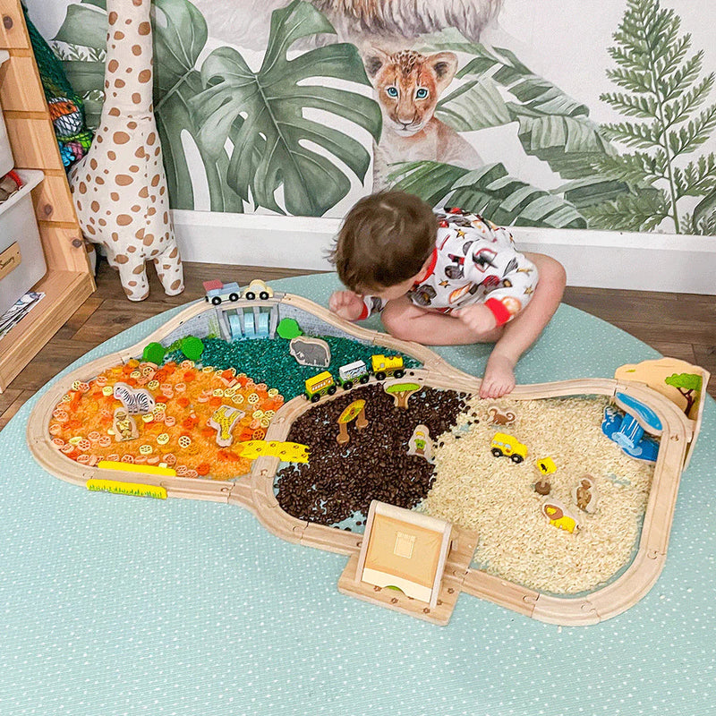 Safari Train Set, Learning SPACE