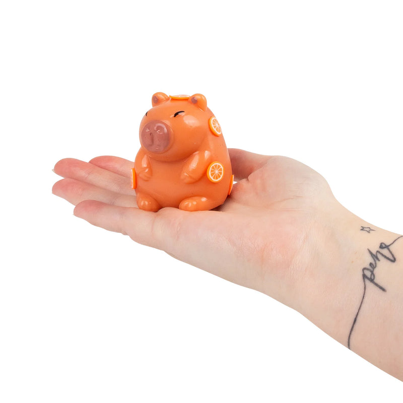 Scrunchems Sticky Squishy Capybara, Learning SPACE