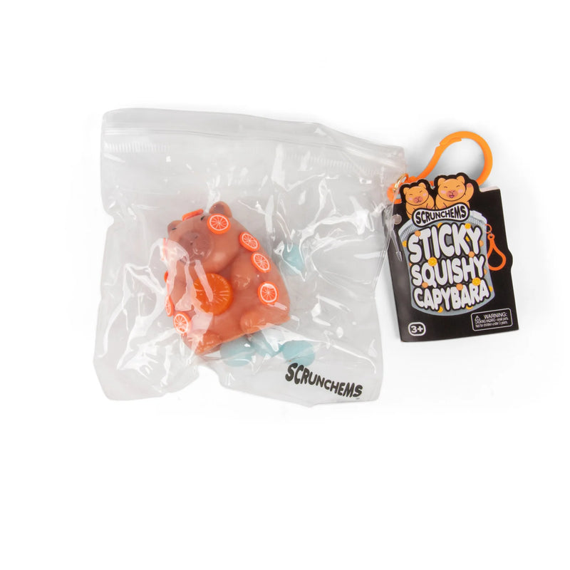 Scrunchems Sticky Squishy Capybara, Learning SPACE