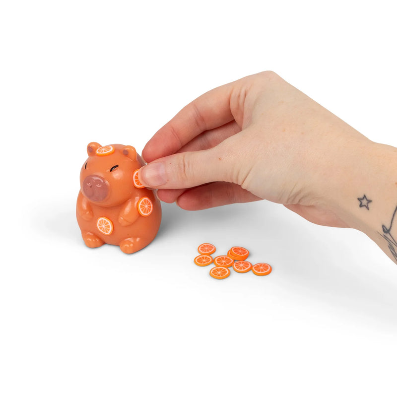 Scrunchems Sticky Squishy Capybara, Learning SPACE