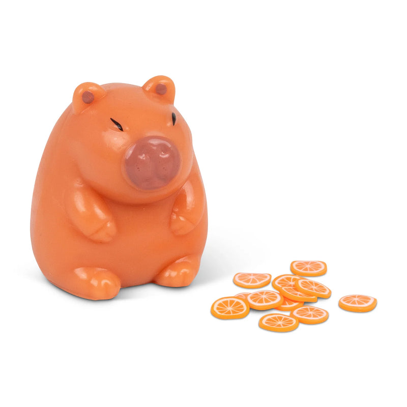 Scrunchems Sticky Squishy Capybara, Learning SPACE