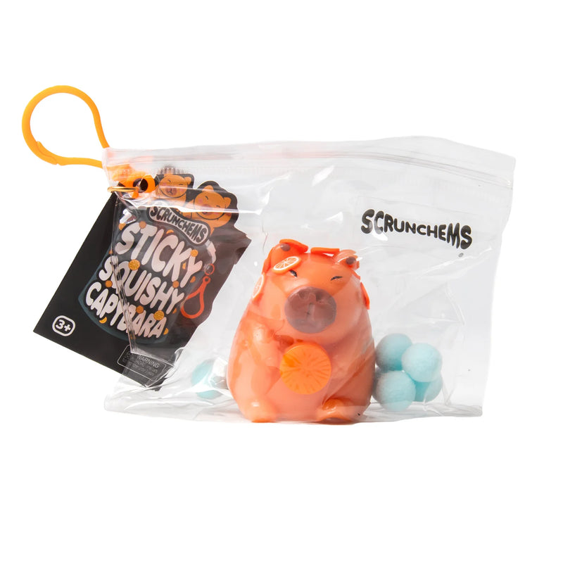 Scrunchems Sticky Squishy Capybara, Learning SPACE