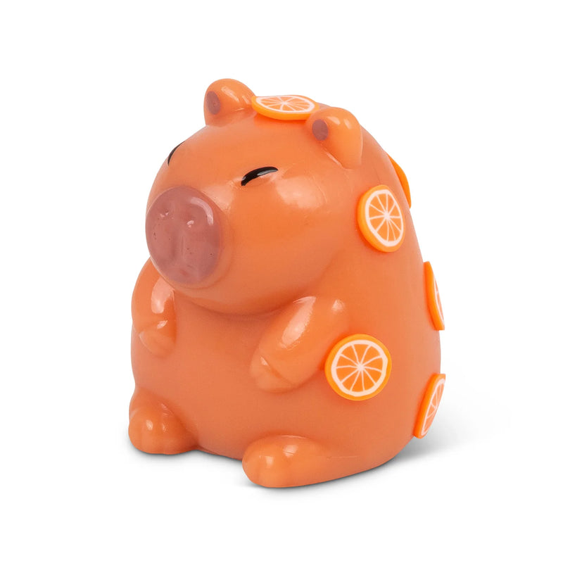 Scrunchems Sticky Squishy Capybara, Learning SPACE