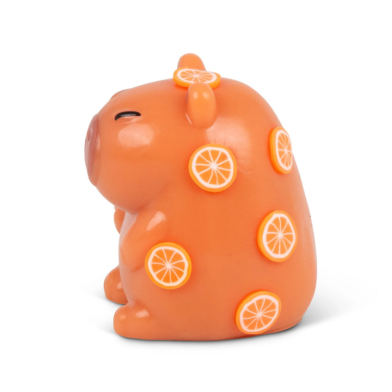 Scrunchems Sticky Squishy Capybara, Learning SPACE