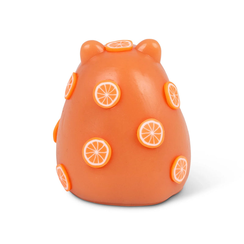 Scrunchems Sticky Squishy Capybara, Learning SPACE
