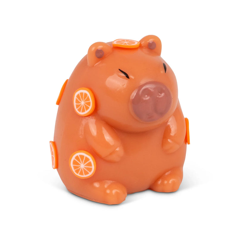 Scrunchems Sticky Squishy Capybara, Learning SPACE