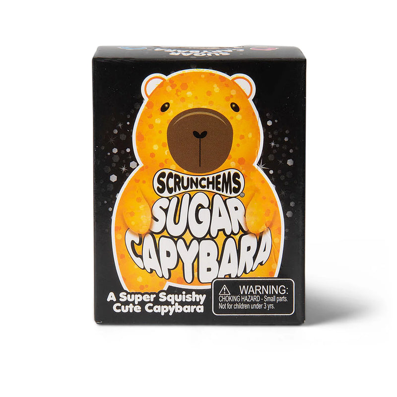 Scrunchems Sugar Capybara, Learning SPACE