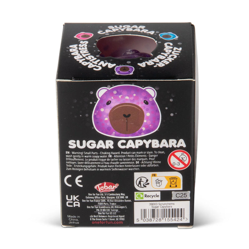 Scrunchems Sugar Capybara, Learning SPACE