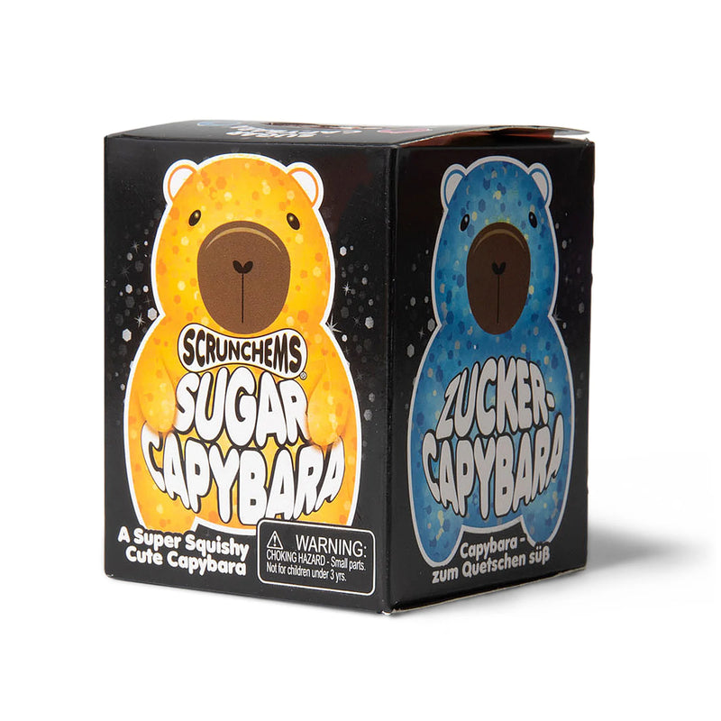 Scrunchems Sugar Capybara, Learning SPACE