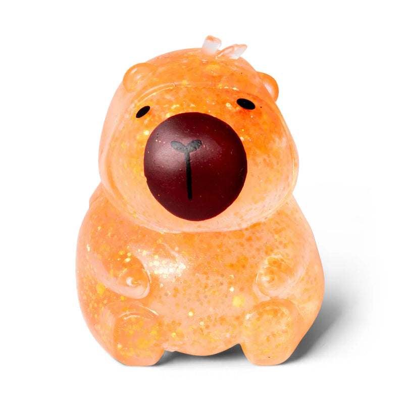 Scrunchems Sugar Capybara, Learning SPACE