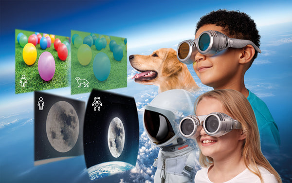 See the World Through Others Eyes, Learning SPACE