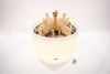 Sensory Mood Discovery Table + Castle Discovery Dividers Set, Learning SPACE