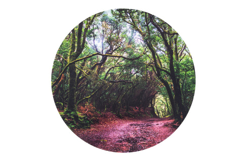 Sensory Mood Discovery Table + Forest Discovery Play Mat, Learning SPACE