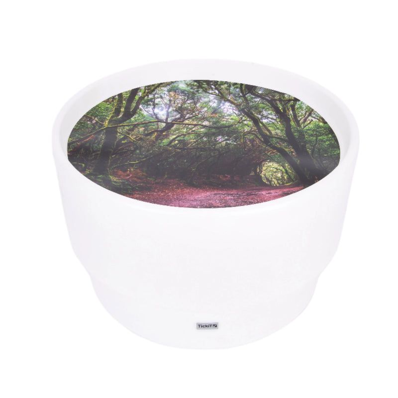 Sensory Mood Discovery Table + Forest Discovery Play Mat, Learning SPACE