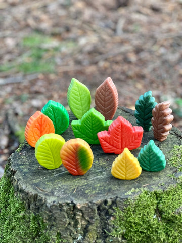 Sensory Play Stones – Leaves, Learning SPACE