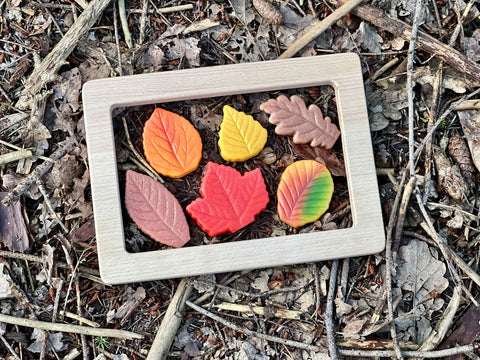 Sensory Play Stones – Leaves, Learning SPACE