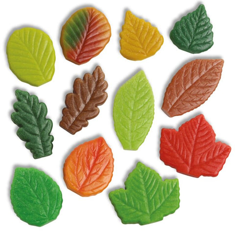 Sensory Play Stones – Leaves, Learning SPACE