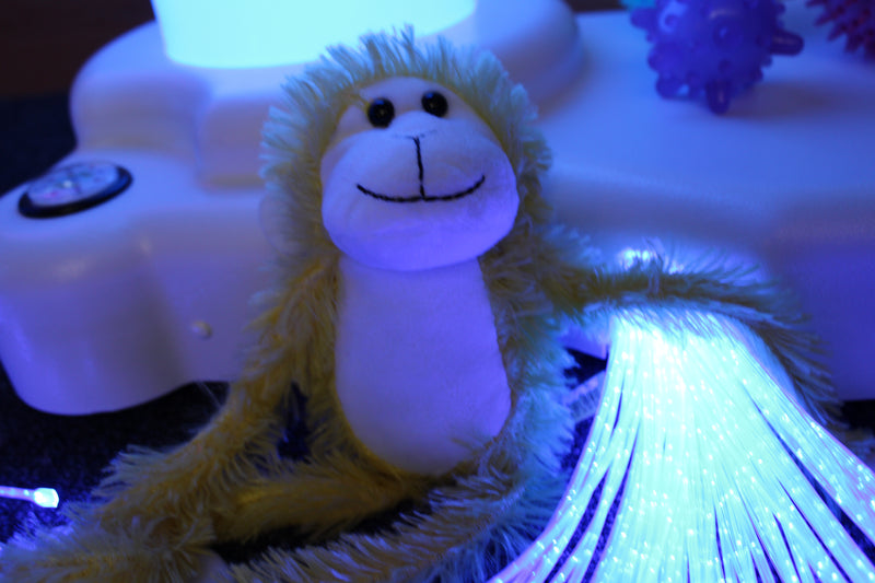 Sensory Station – Multi-Sensory Plug & Play Unit, Learning SPACE