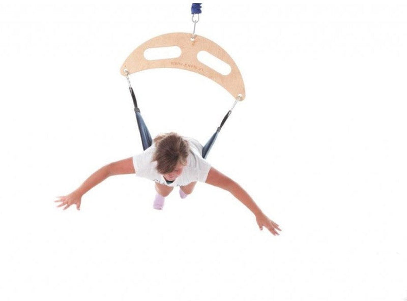 Sensory Therapeutic Frog Swing, Learning SPACE