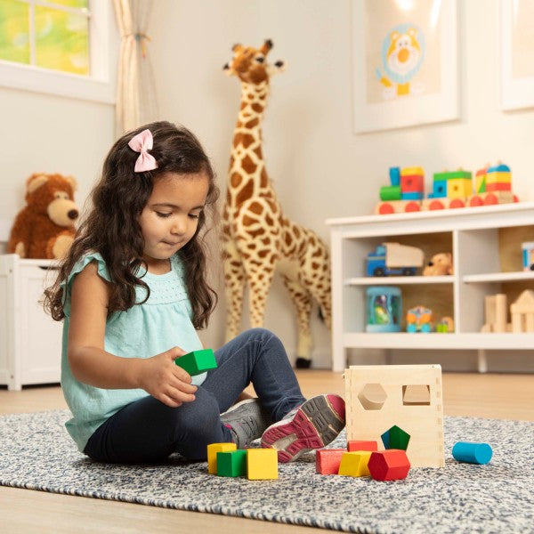 Shape Sorting Cube, Learning SPACE
