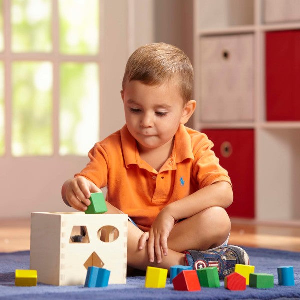 Shape Sorting Cube, Learning SPACE