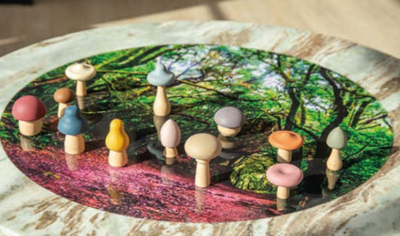 Silisoft Woodland Mushroom Set (Earth) 12 Pack, Learning SPACE