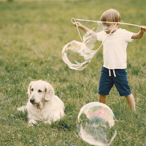 Soap Bubble Concentrate + Soap Bubble Hoop, Learning SPACE