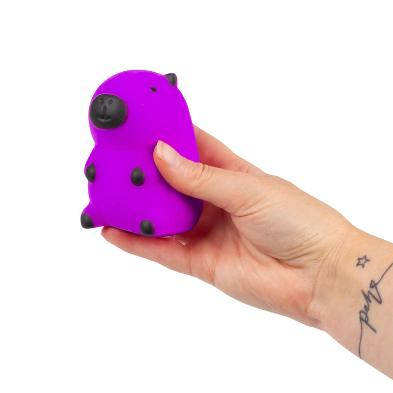 Squeezy Capybara Squishy, Learning SPACE