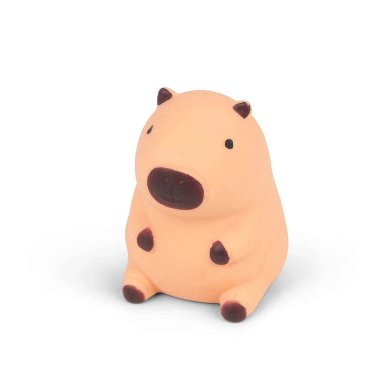 Squeezy Capybara Squishy, Learning SPACE