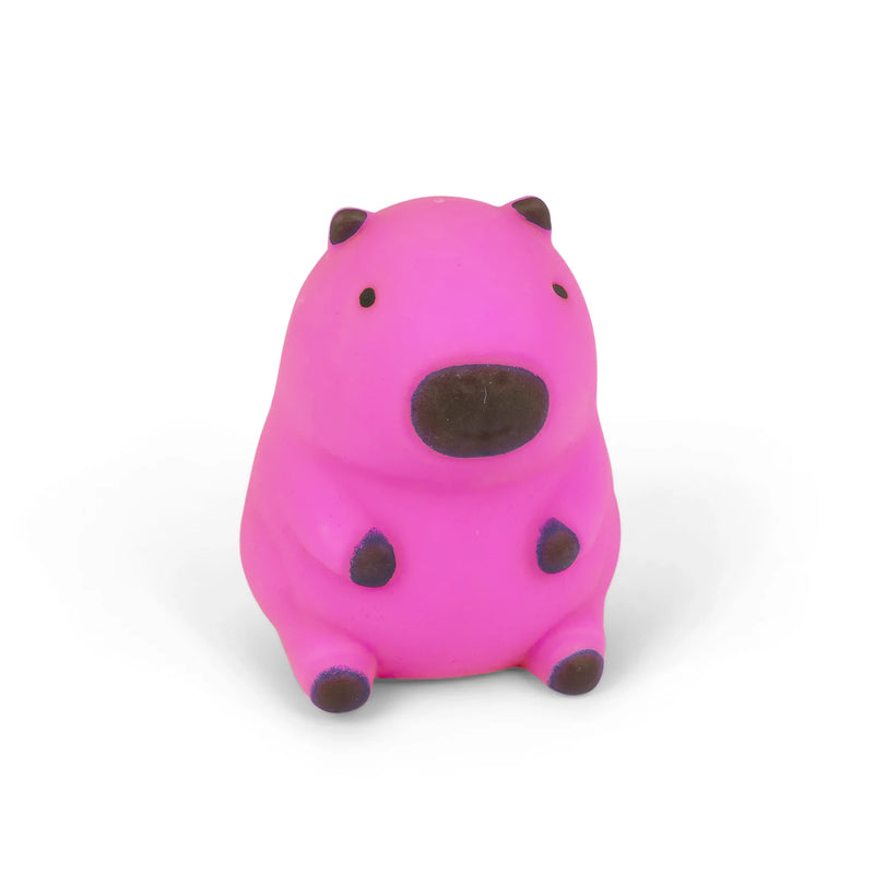 Squeezy Capybara Squishy, Learning SPACE