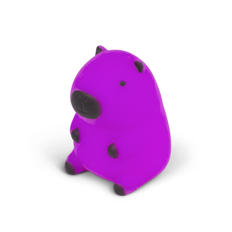 Squeezy Capybara Squishy, Learning SPACE