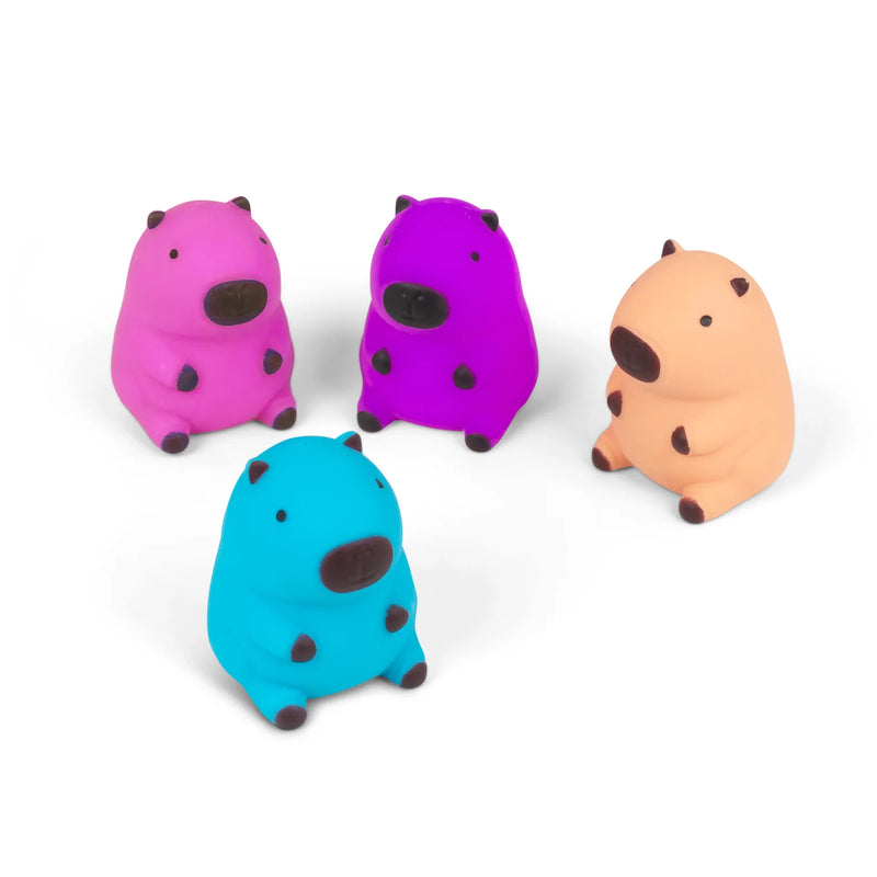 Squeezy Capybara Squishy, Learning SPACE