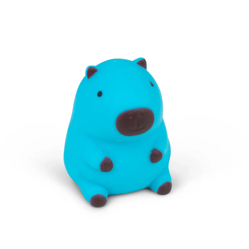 Squeezy Capybara Squishy, Learning SPACE