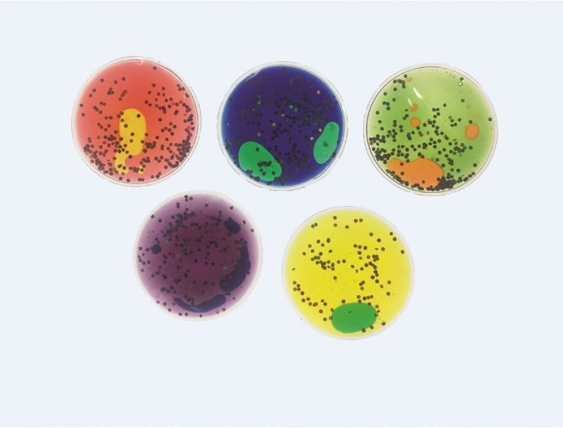 Squidgy Sparkle Circles, Learning SPACE