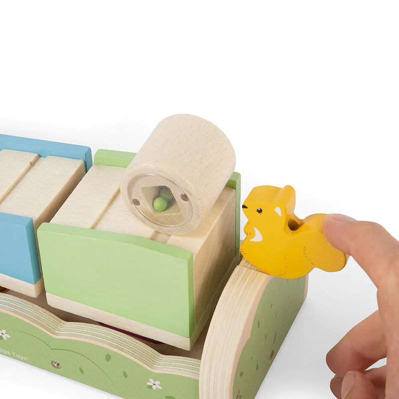 Squirrel Ramp Sorter – Sort, Slide & Squeak with Woodland Fun!, Learning SPACE