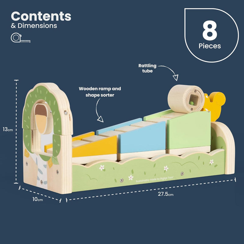 Squirrel Ramp Sorter – Sort, Slide & Squeak with Woodland Fun!, Learning SPACE