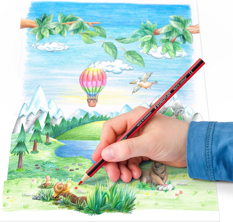Staedtler Noris Club Colouring Pencils – Assorted Pack of 12, Learning SPACE