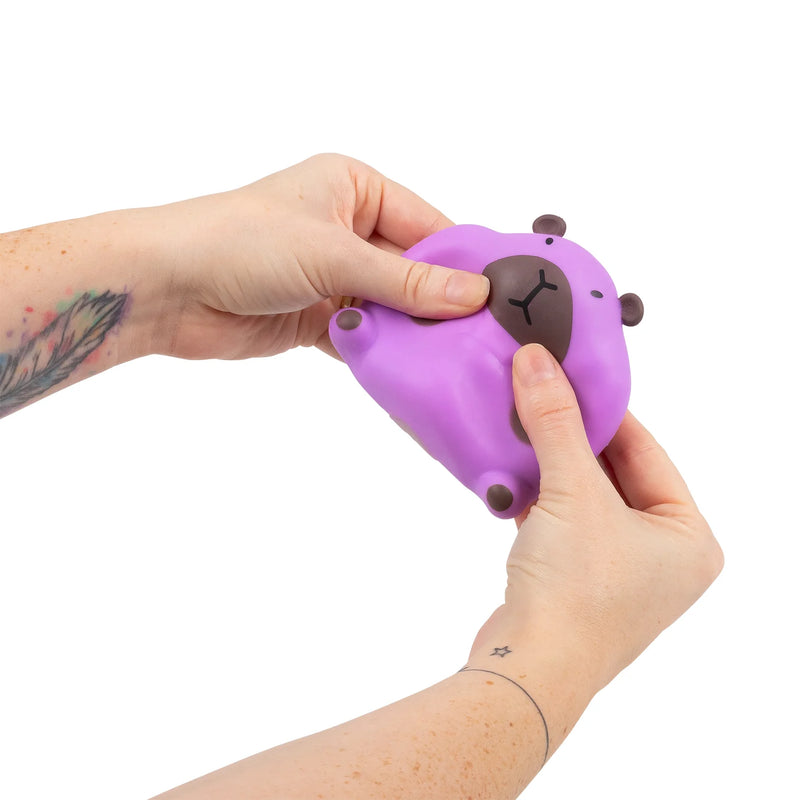 Stretchy Capybara Toy, Learning SPACE