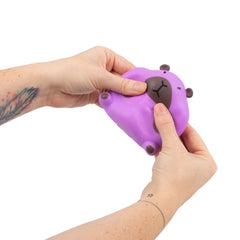 Stretchy Capybara Toy, Learning SPACE