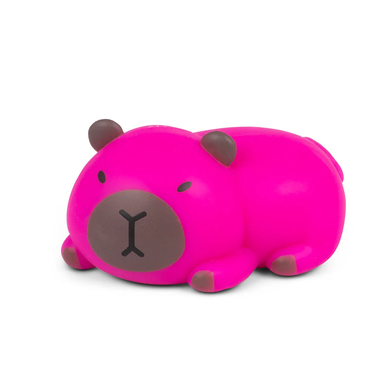 Stretchy Capybara Toy, Learning SPACE